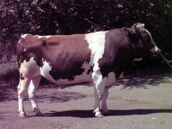 РАДОН  11764  КСКП-171